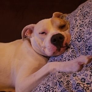 Meet your Posher, Lindsey